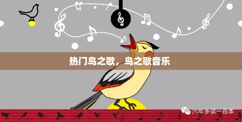 热门鸟之歌，鸟之歌音乐 