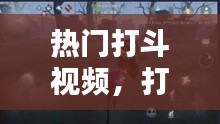 热门打斗视频，打斗集锦 