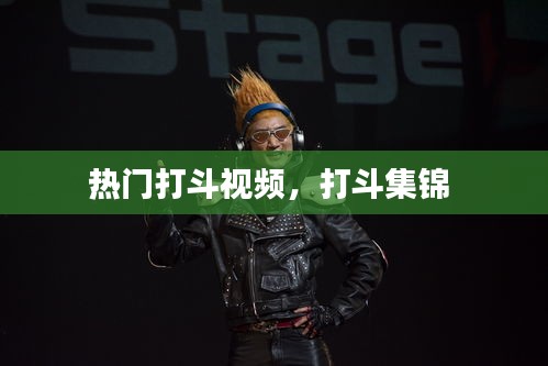 热门打斗视频,打斗集锦