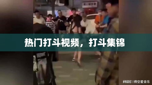 热门打斗视频,打斗集锦