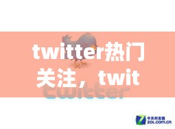 twitter热门关注，twitter关注推荐 