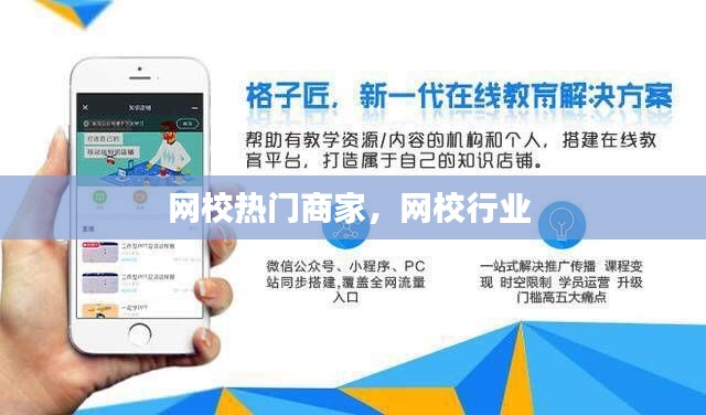 网校热门商家，网校行业 