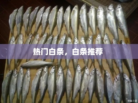 热门白条，白条推荐 