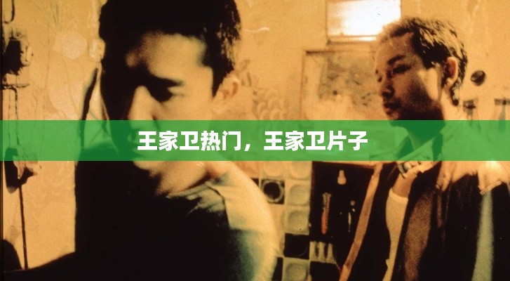 王家卫热门，王家卫片子 