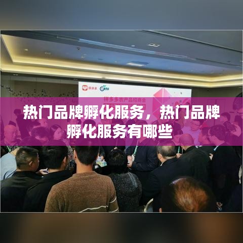 集思广益 第4页