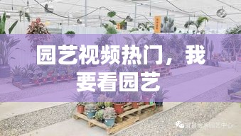 园艺视频热门，我要看园艺 