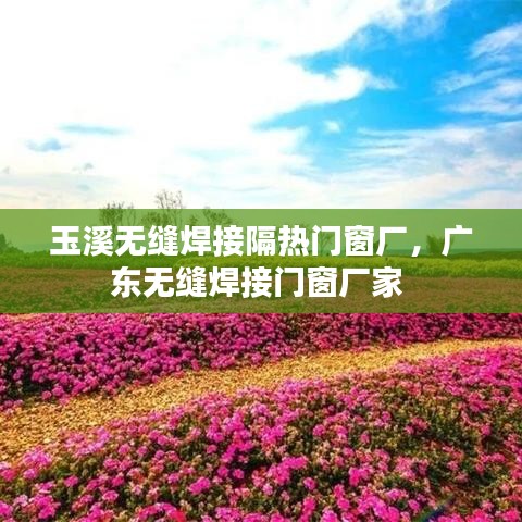 玉溪无缝焊接隔热门窗厂，广东无缝焊接门窗厂家 