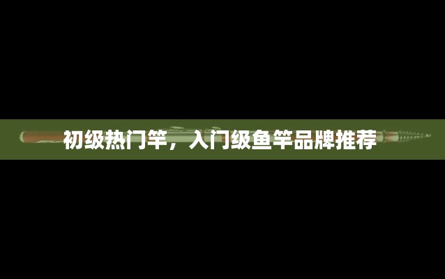 初级热门竿，入门级鱼竿品牌推荐 