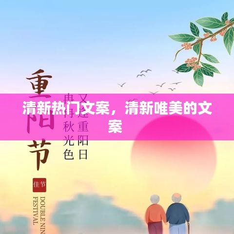 清新热门文案，清新唯美的文案 