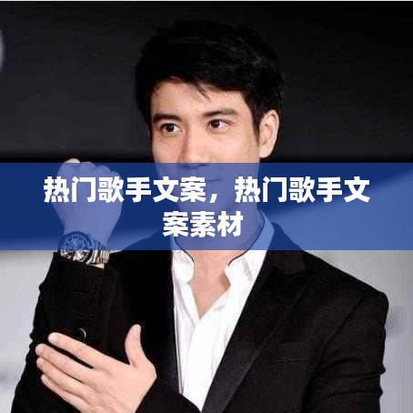 热门歌手文案,热门歌手文案素材