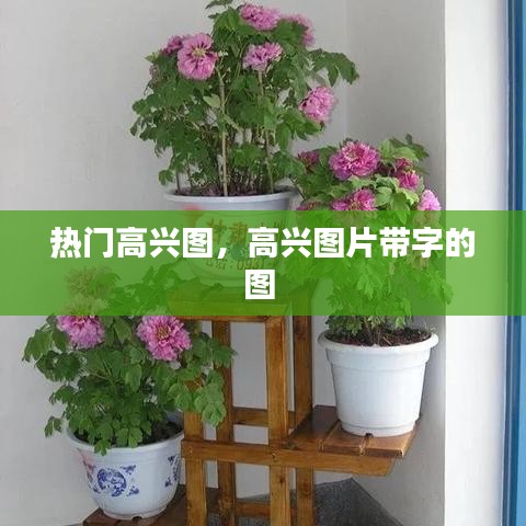 奔走如飞 第4页