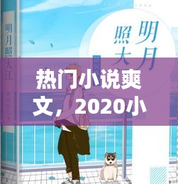 热门小说爽文，2020小说爽文 
