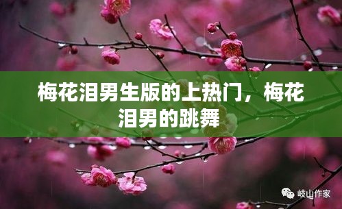 梅花泪男生版的上热门，梅花泪男的跳舞 