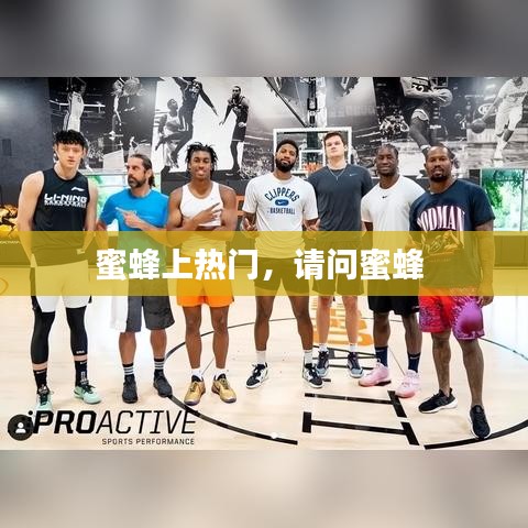 蜜蜂上热门，请问蜜蜂 