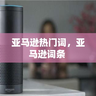 亚马逊热门词，亚马逊词条 