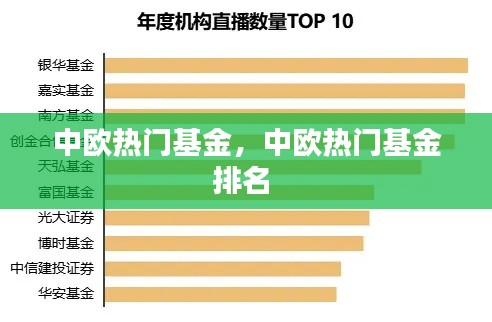 中欧热门基金，中欧热门基金排名 
