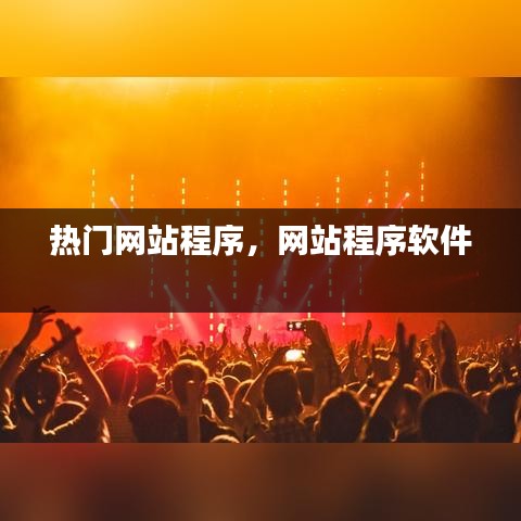 热门网站程序，网站程序软件 