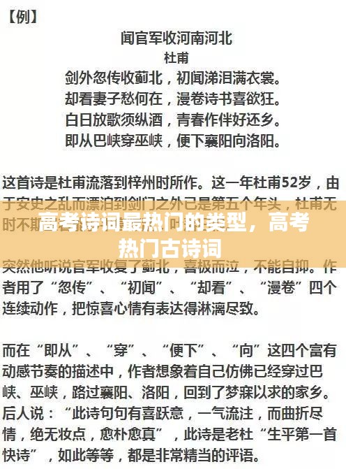 东张西望 第4页