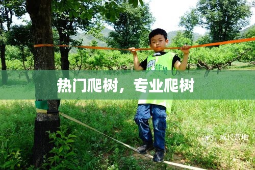 热门爬树，专业爬树 