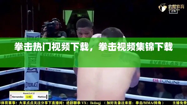 拳击热门视频下载，拳击视频集锦下载 