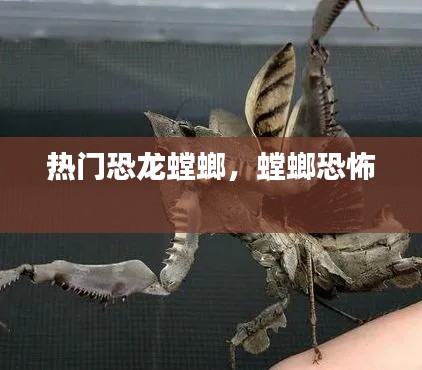 热门恐龙螳螂,螳螂恐怖