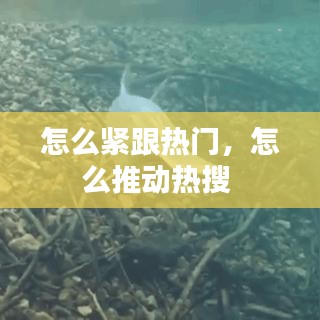 怎么紧跟热门,怎么推动热搜