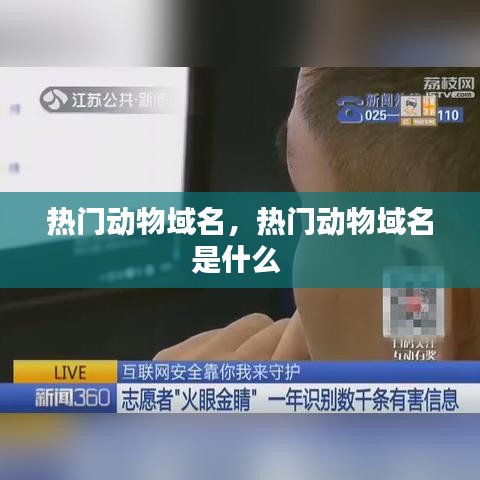 热门动物域名，热门动物域名是什么 