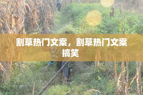 飞箭如蝗 第4页