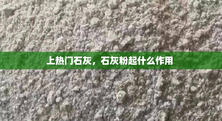 尘土飞扬 第4页