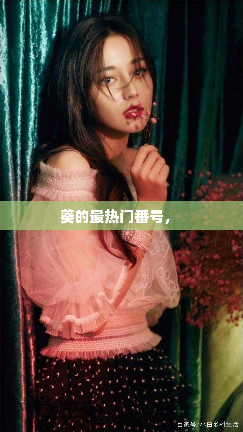 葵的最热门番号,