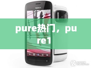 pure热门，pure1 