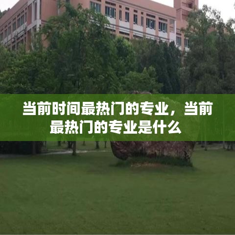 当前时间最热门的专业，当前最热门的专业是什么 