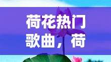 荷花热门歌曲，荷花相关歌曲 