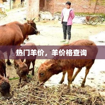 画地为牢 第3页