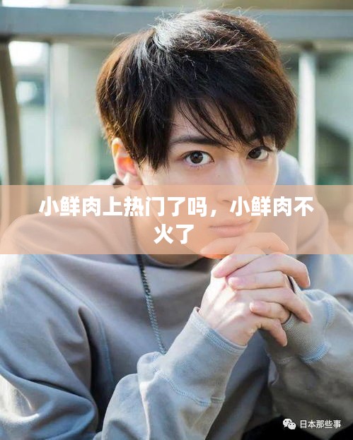 小鲜肉上热门了吗，小鲜肉不火了 