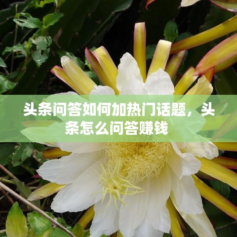精耕细作 第4页