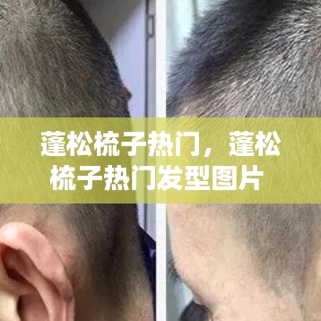 蓬松梳子热门，蓬松梳子热门发型图片 