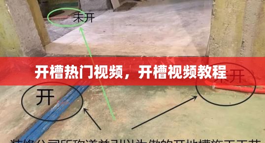 志同道合 第4页