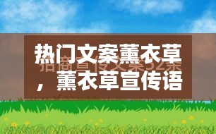 热门文案薰衣草，薰衣草宣传语 