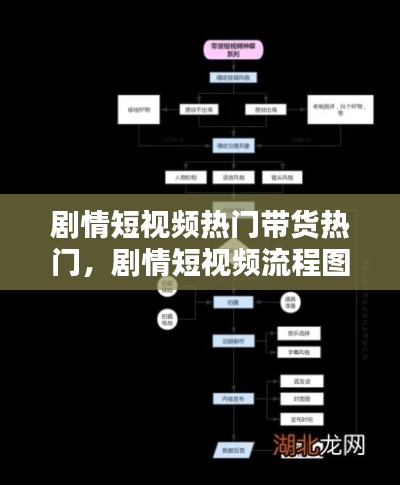 剧情短视频热门带货热门，剧情短视频流程图 