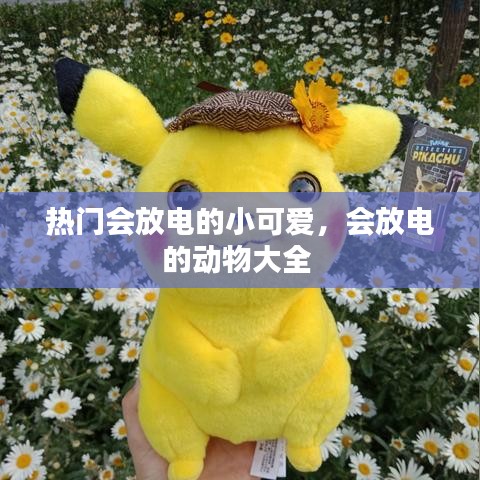 彬彬有礼