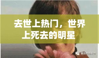 林下风气 第4页