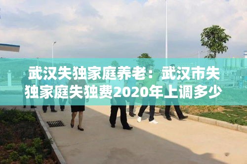 武汉失独家庭养老：武汉市失独家庭失独费2020年上调多少 