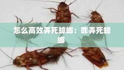 钝学累功 第3页