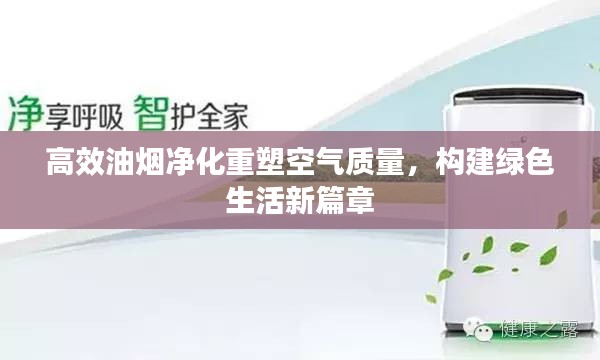 高效油烟净化重塑空气质量，构建绿色生活新篇章