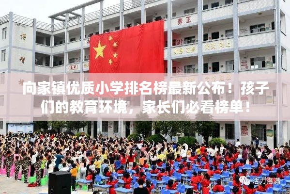 向家镇优质小学排名榜最新公布！孩子们的教育环境，家长们必看榜单！