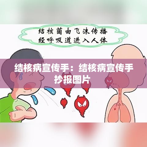 结核病宣传手：结核病宣传手抄报图片 