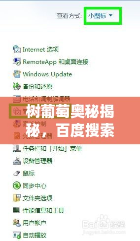 树葡萄奥秘揭秘，百度搜索上榜，带你探索未知之秘！