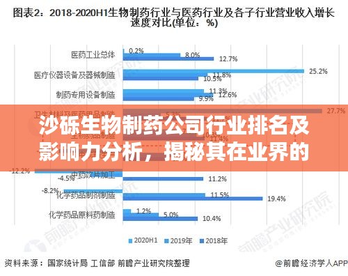 沙砾生物制药公司行业排名及影响力分析，揭秘其在业界的地位与前景