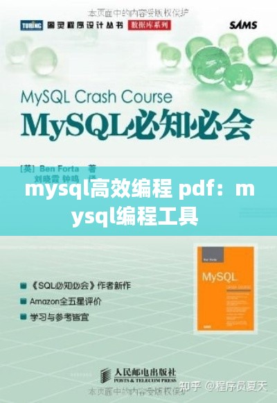 mysql高效编程 pdf：mysql编程工具 